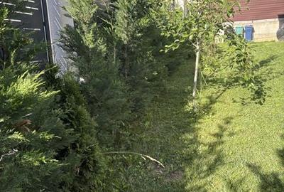 Casă cu 4 camere cu Teren 120 Mp în Florești - 4
