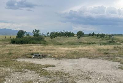 Teren de 7800 mp, în Câmpu Goblii - 3