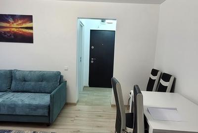 Apartament cu 2 camere semidecomandat, mobilat în Viziru 1 - 2