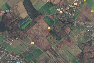 Teren de 9600 mp, în Niculești - 2