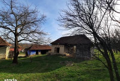 Teren de 17800 mp, în Sâg - 1