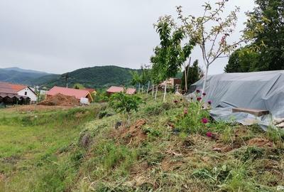 Teren de 1217 mp, în Eșelnița - 5