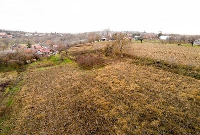 Casă individuală cu 4 camere cu Teren 9168 Mp în Șișterea - 14