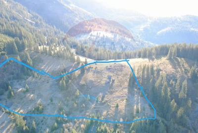 Teren extravilan de 31461 mp, în Panaci