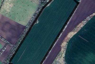 Teren agricol extravilan de 104000 mp, în Pișchia - 1
