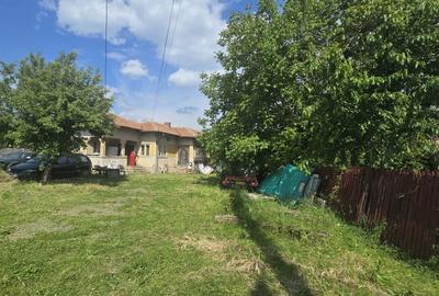Casă cu 3 camere în Homorâciu - 2