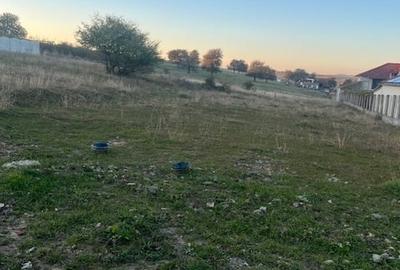 Teren Construcții de 1571 mp, în Daia Nouă - 2