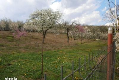 Teren de 120 mp, în Calvini - 7