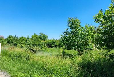 Teren Construcții intravilan de 1030 mp, în Corbeanca - 16