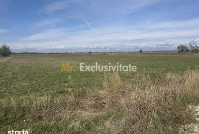 Teren de 3700 mp, în Rătești