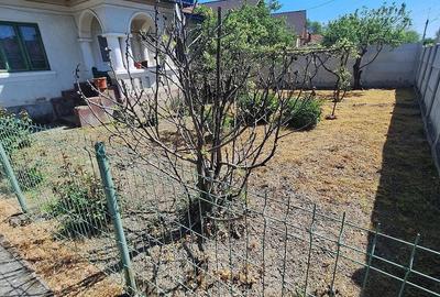 Casă cu Teren 1000 Mp în Arginești