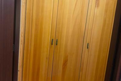 Apartament cu 2 camere semidecomandat în Dosu Bricii