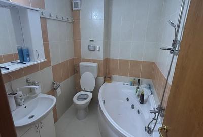 Apartament cu 3 camere decomandat în Nufărul - 8