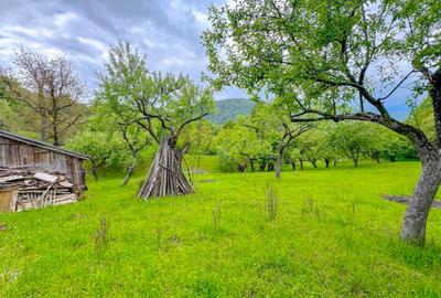 Teren agricol intravilan de 1500 mp, în Bran - 6