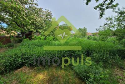 Casă individuală cu 3 camere cu Teren 1434 Mp în Satchinez - 13