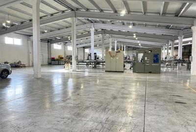 Spațiu industrial, de 1,200 mp, în Iris - 2