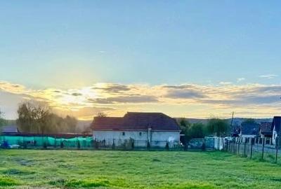 Teren de 1026 mp, în Dumbrăvioara - 5
