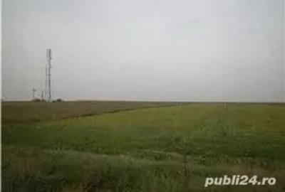Teren de 11700 mp, în Central
