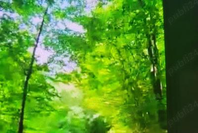 Teren de 800 mp, în Brădetu - 3