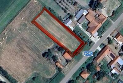 Teren de 2158 mp, în Balinț - 7