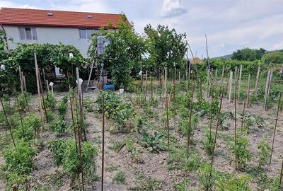 Casă cu Teren 3340 Mp în Brebu