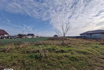 Teren de 700 mp, în Balotești - 5