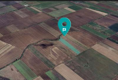 Teren agricol extravilan de 8700 mp, în Sacoșu Turcesc - 1