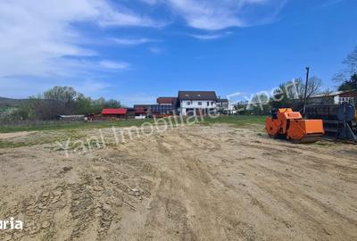 Teren de 6100 mp, în Curtea de Argeș