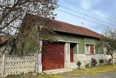 Casă cu 3 camere cu Teren 1500 Mp în Criciova - 4
