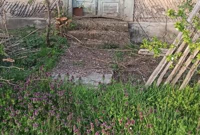 Teren de 46000 mp, în Călineștii de Sus - 4