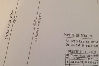 Teren agricol extravilan de 50000 mp, în Snagov - 3