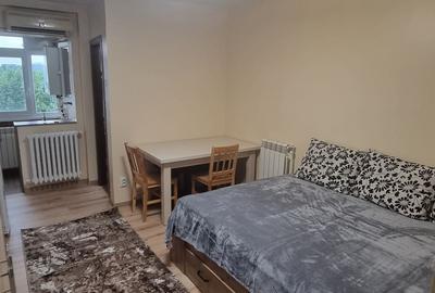 Garsonieră în Alexandru cel Bun - 3