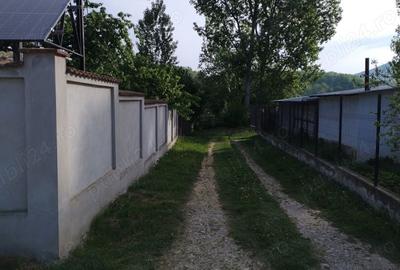 Teren de 2200 mp, în Olteni - 2