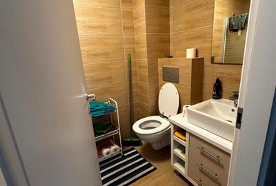 Apartament cu 2 camere semidecomandat, mobilat în Ștefăneștii de Jos - 7