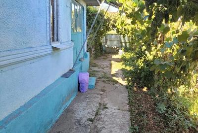 Casă cu Teren 1300 Mp în Ciorani