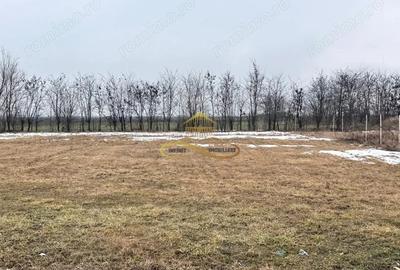 Teren de 900 mp, în Săucești - 2