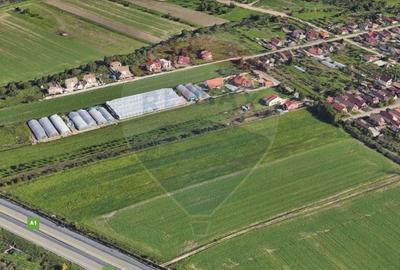 Teren agricol extravilan de 5316 mp, în Aradul Nou - 1