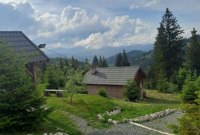 Casă cu 4 camere în Dealu Botii - 7