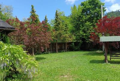 Casă cu 3 camere în Sucevița - 2