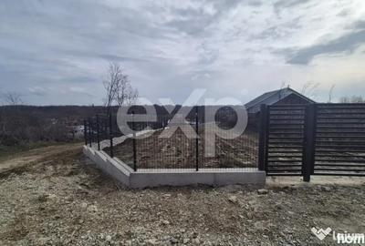 Teren în Albota - 5