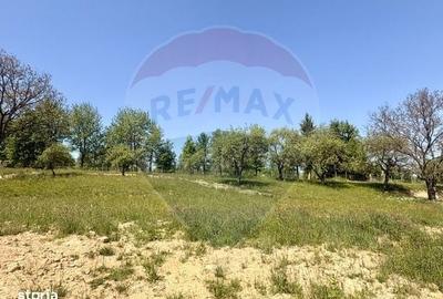 Casă cu 2 camere cu Teren 9035 Mp în Breb - 2