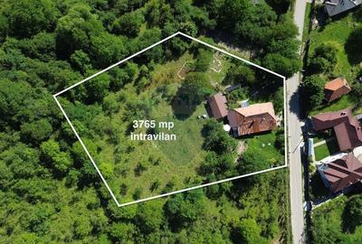 Casă individuală cu 4 camere cu Teren 3765 Mp în Mihăești - 1