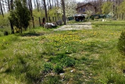 Teren de 500 mp, în Ostroveni