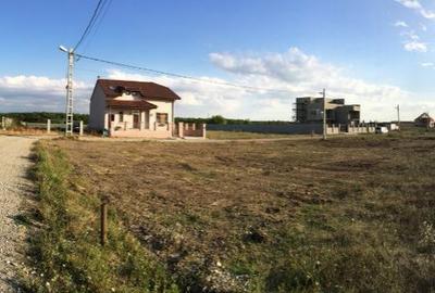 Teren intravilan de 1006 mp, în Mogoșoaia - 2