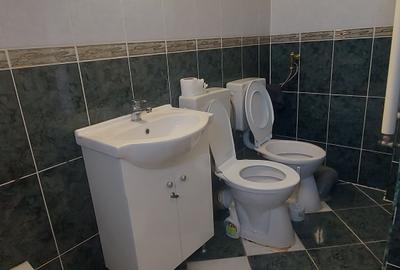 Casă cu 5 camere cu Canalizare în Tineretului - 32