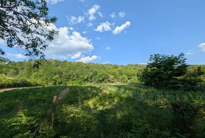 Teren de 800 mp, în Central