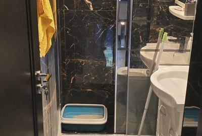 Apartament cu 3 camere decomandat în Alexandru cel Bun - 2