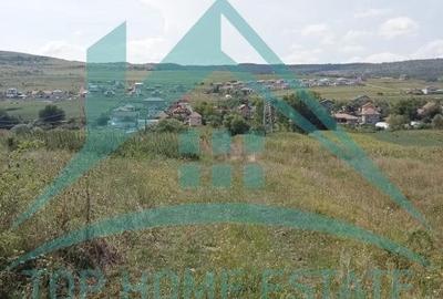 Teren agricol extravilan de 5000 mp, în Exterior Nord - 3