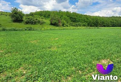 Teren agricol extravilan de 1010 mp, în Turnișor - 1