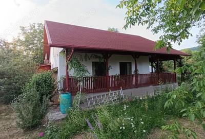 Casă cu 3 camere cu Teren 1544 Mp în Brebu - 9